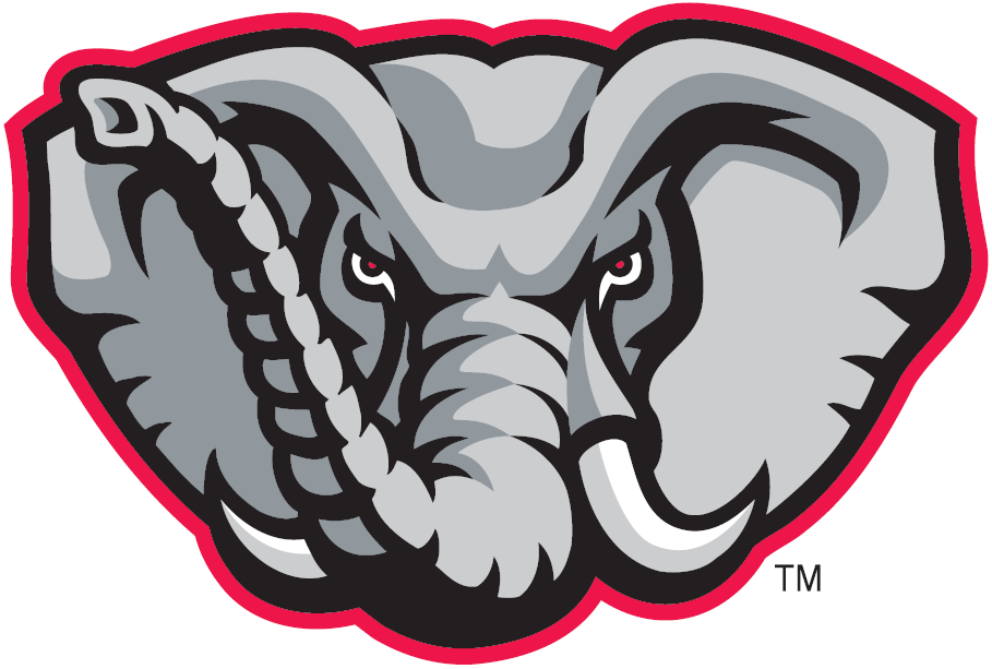 Alabama Crimson Tide 2001-Pres Alternate Logo v4 DIY iron on transfer (heat transfer)